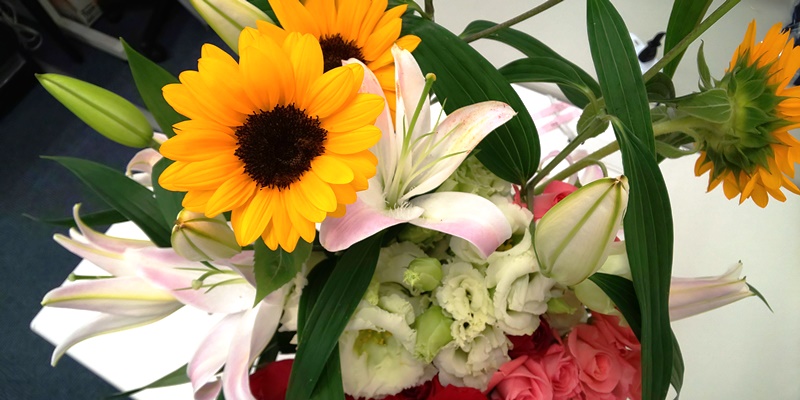 介護支援センターオアシス地下鉄平野駅にプロジェクト最後のお花が届きました オアシススタッフブログ